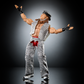 2026 WWE Mattel Ultimate Edition Premium Live Event Series 1 Shawn Michaels [Exclusive]