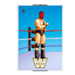 2026 WWE Mattel Ultimate Edition Coliseum Collection Series 9 2-Pack [Exclusive]
