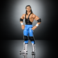 2026 WWE Mattel Elite Collection Legends Greatest Hits Series 4 Bret "Hit Man" Hart