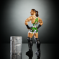 2025 WWE Mattel Elite Collection From the Vault Series 6 Rob Van Dam [Exclusive]