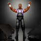 2026 WWE Mattel Elite Collection From the Vault Series 8 D-Von Dudley