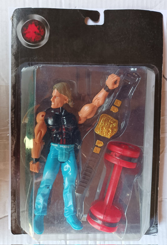 Wrestle King Bootleg/Knockoff Wrestler