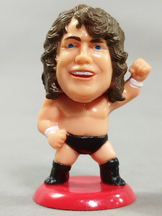 2007 CharaPro Mini Big Heads/Pro-Kaku Heroes Series 9 Terry Gordy