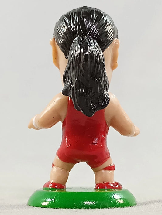 2005 Pro-Wrestling NOAH CharaPro Mini Big Heads/Pro-Kaku Heroes Series 3 Tamon Honda