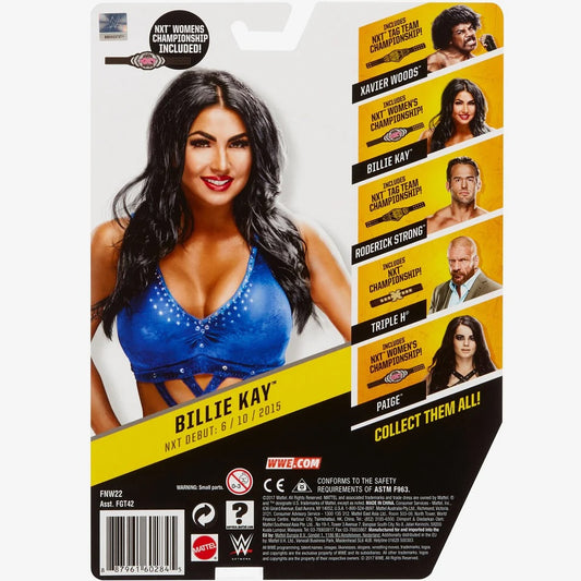 Unreleased WWE Mattel Basic NXT Takeover Series 3 Billie Kay [Exclusive]