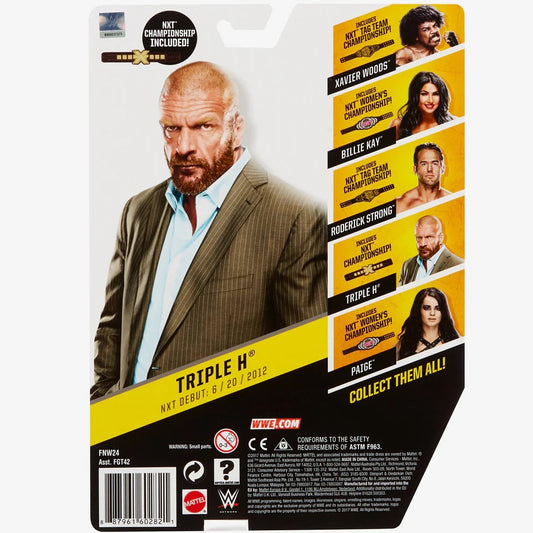 Unreleased WWE Mattel Basic NXT Takeover Series 3 Triple H [Exclusive]