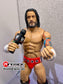 2025 WWE Mattel Elite Collection Royal Rumble Series 7 CM Punk