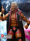 2025 AEW Jazwares Unrivaled Collection Series 18 #191 Jeff Jarrett