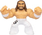 2025 WWE Moose Toys Heroes of Goo Jit Zu Stretchy Superstars Series 2 Seth "Freakin" Rollins