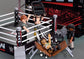 2026 WWE Playmobil Raw Ring Collectors Set [With Seth Rollins & CM Punk]