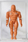 Unreleased WWF LJN Articulated Hulk Hogan