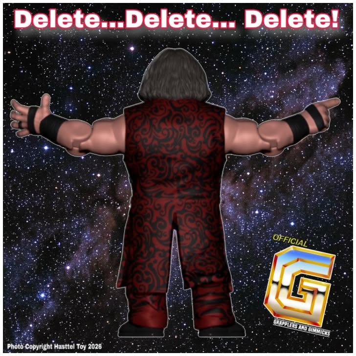 Hasttel Toy Grapplers & Gimmicks Matt Hardy