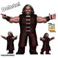 Hasttel Toy Grapplers & Gimmicks Matt Hardy