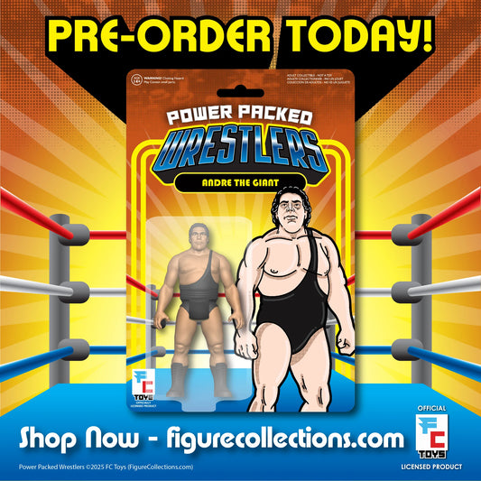 FC Toys Power Packed Wrestlers Series 1 Andre the Giant
