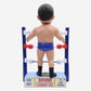 2023 WWE FOCO Bobbleheads Limited Edition Bruno Sammartino