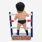 2024 WWE FOCO Bobbleheads Limited Edition Gorilla Monsoon