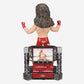 2023 WWE FOCO Bobbleheads Limited Edition Light-Up Stage Shawn Michaels
