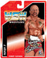 2026 FC Toys Wrestle-Something Wrestlers Series 5 Perry Saturn