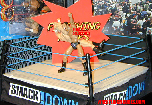 2000 WWF Jakks Pacific Finishing Moves Series 1 "Rock Bottom": The Rock & Triple H