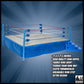 2025 FTC Classic Wrestling Ring