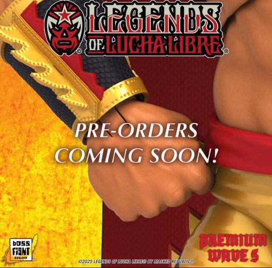 Boss Fight Studio Legends of Lucha Libre Premium Collector Figures Series 5 Ultimo Dragon