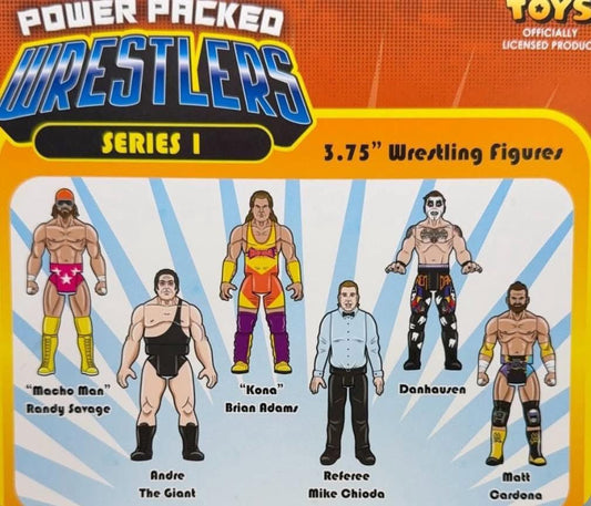 FC Toys Power Packed Wrestlers Series 1 "Kona" Brian Adams
