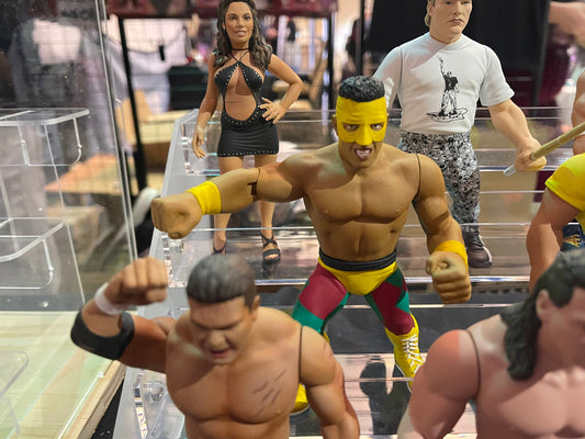 Zombie Sailor's Toys Wrestling's Heels & Faces Francine