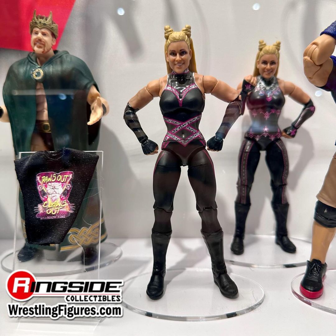 2024 WWE Mattel Elite Collection Greatest Hits Series 6 Natalya [Chase]