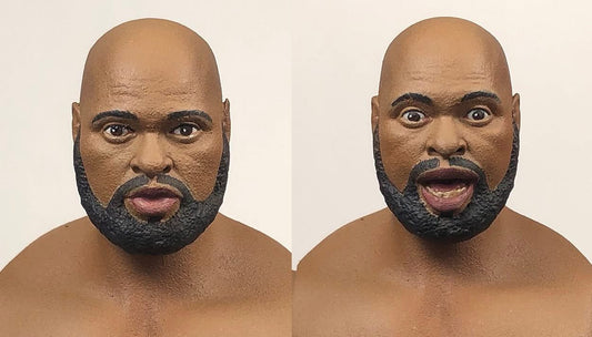 Zombie Sailor's Toys Wrestling's Heels & Faces Pinnacle Collection Series 2 Bad News Allen