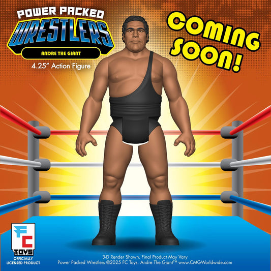 FC Toys Power Packed Wrestlers Series 1 Andre the Giant