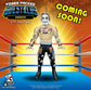 FC Toys Power Packed Wrestlers Series 1 Danhausen