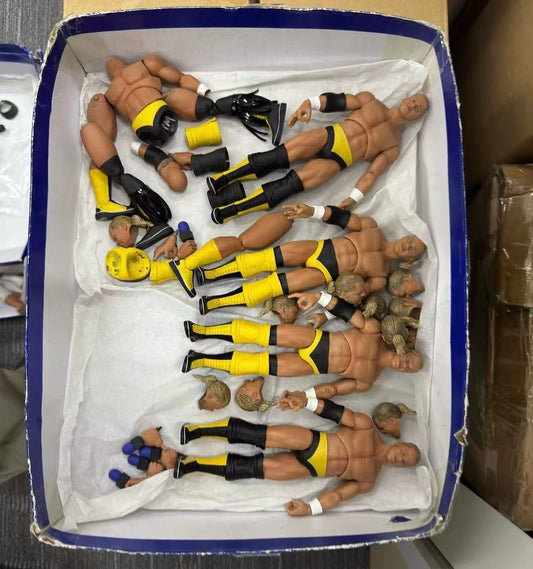 Zombie Sailor's Toys Wrestling's Heels & Faces Pinnacle Collection Series 2 Shane Douglas [Variant]