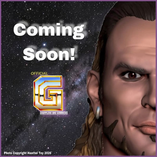Hasttel Toy Grapplers & Gimmicks Jeff Hardy