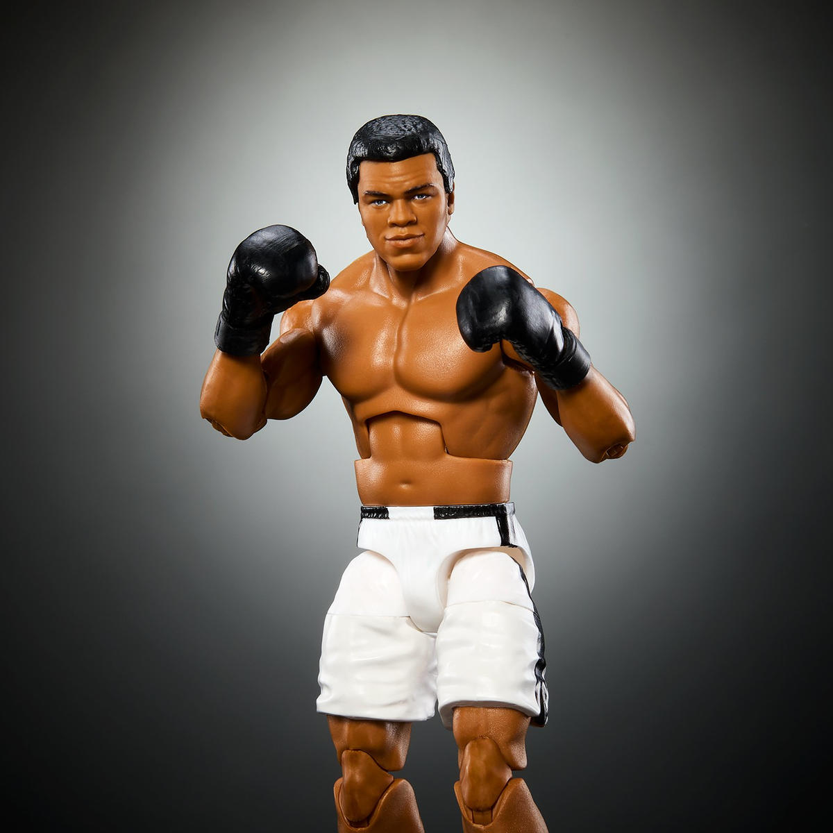 Muhammad Ali 2024