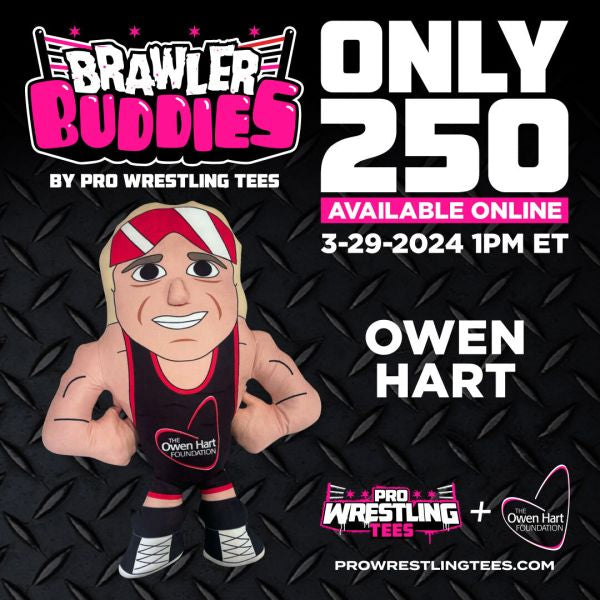 2024 Pro Wrestling Tees Brawler Buddies Owen Hart