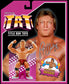 2025 Title Run Toys Series 1 "Mr. Wonderful" Paul Orndorff