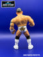 My Fandom Collectibles Indie Stars Series 1 Kevin Matthews [With White Trunks]