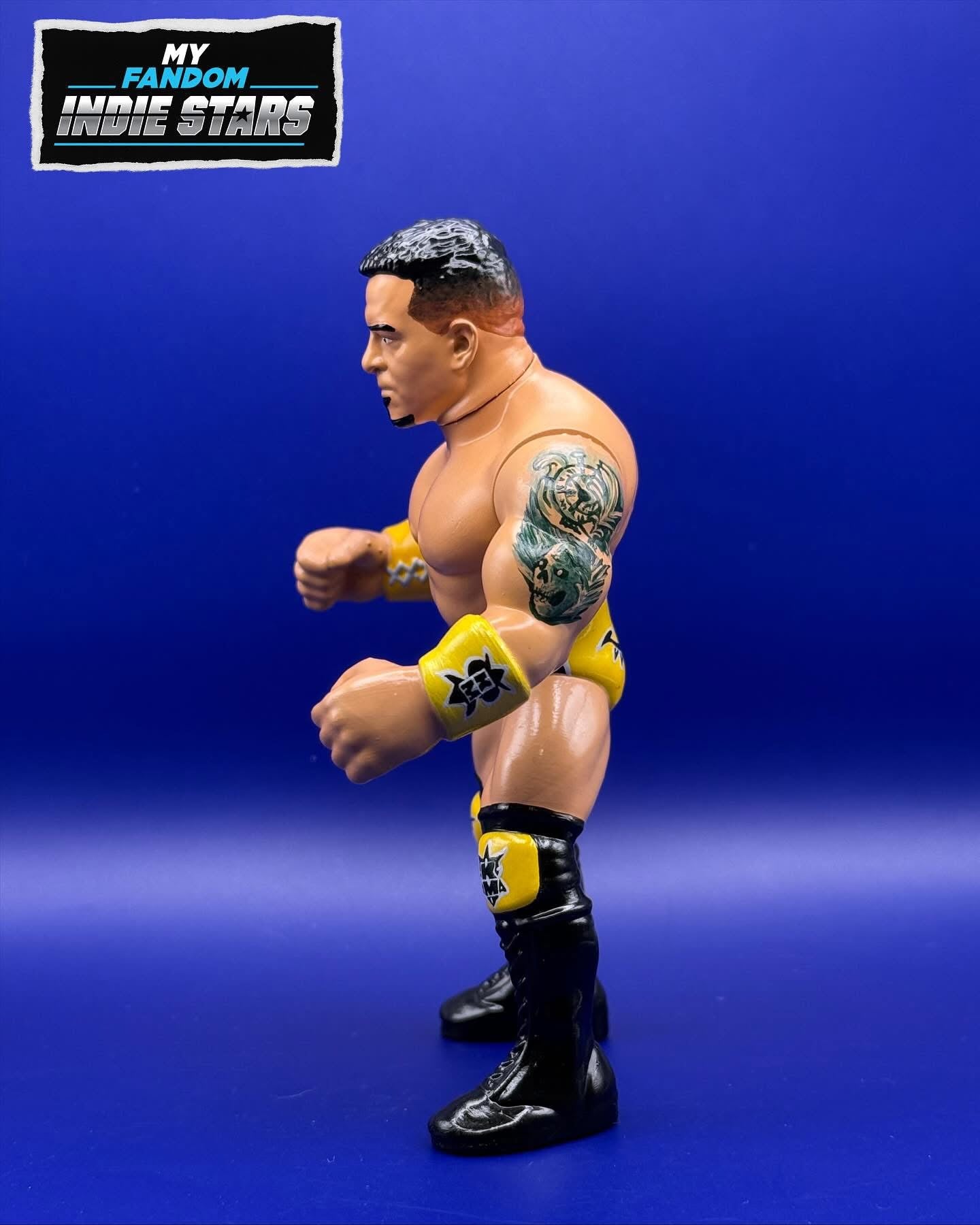 My Fandom Collectibles Indie Stars Series 1 Kevin Matthews [With Gold Trunks]