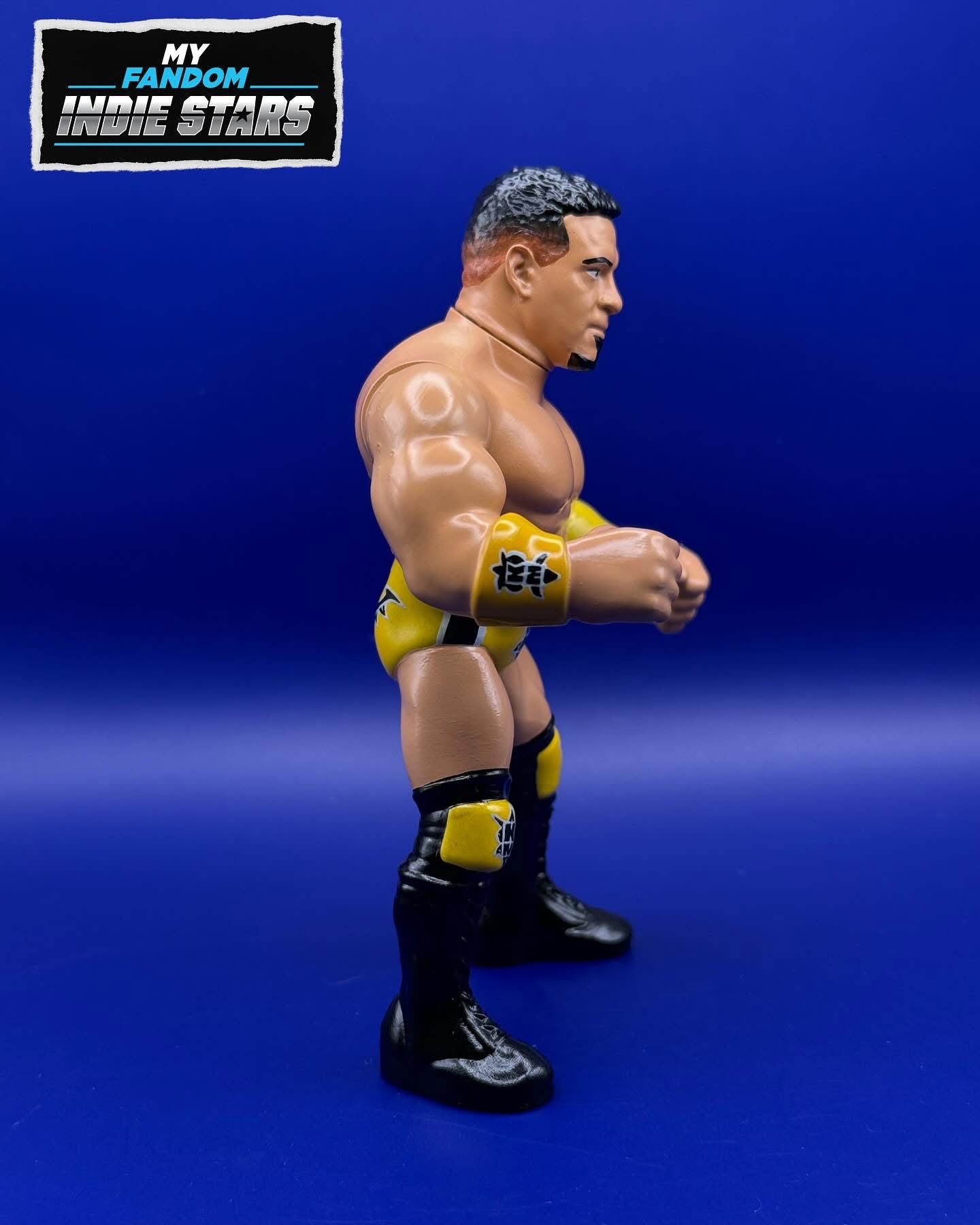 My Fandom Collectibles Indie Stars Series 1 Kevin Matthews [With Gold Trunks]