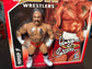 2026 FC Toys Wrestle-Something Wrestlers Series 5 Perry Saturn