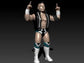 WrestlePro Alaska Live the Gimmick Series 1 "Ace of Space" LSG