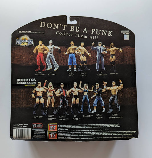 2008 WWE Jakks Pacific Ruthless Aggression Road to WrestleMania XXIV 2-Packs Series 1: Triple H & Mr. McMahon