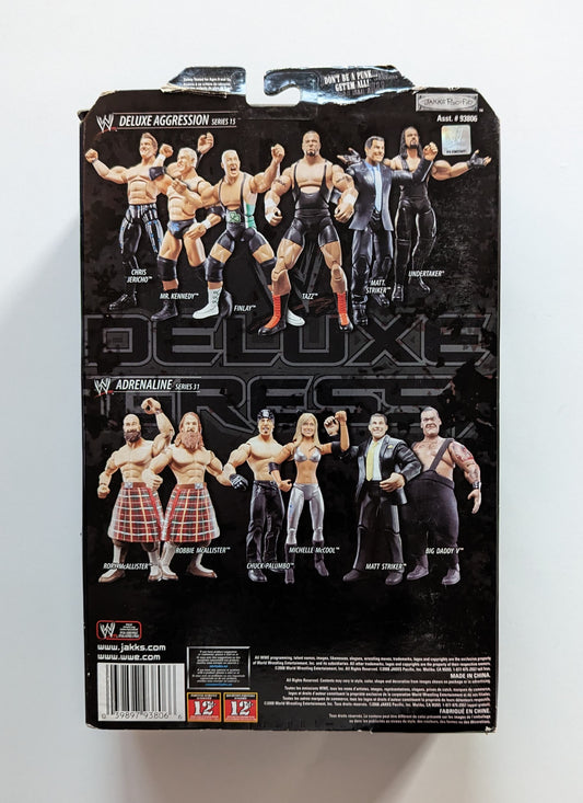 2008 WWE Jakks Pacific Deluxe Aggression Series 15 Matt Striker