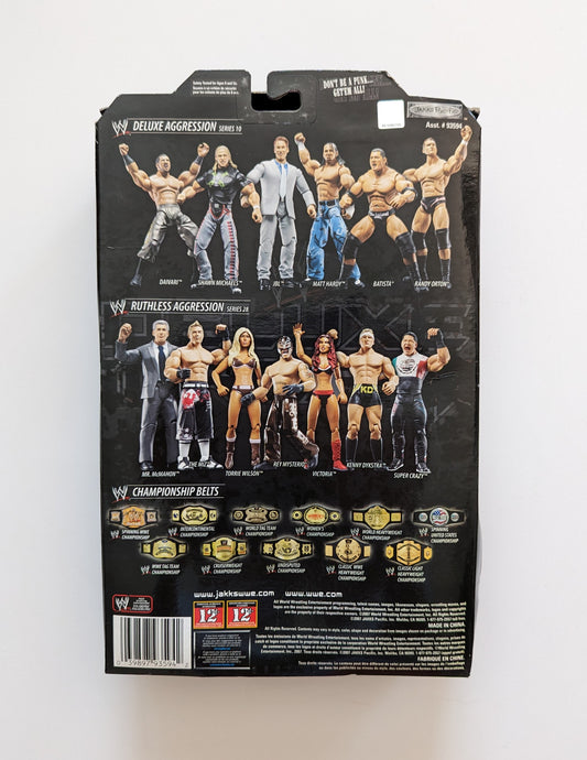 2007 WWE Jakks Pacific Deluxe Aggression Series 10 Randy Orton