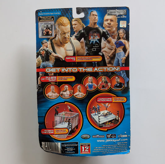 2001 WWF Jakks Pacific Titantron Live Series 13 Lita