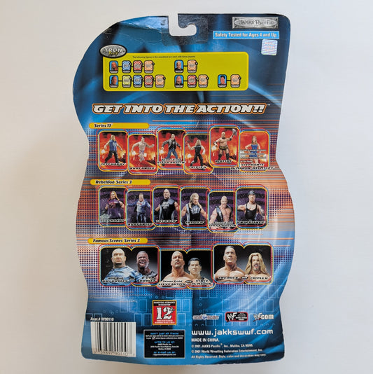 2000 WWF Jakks Pacific Titantron Live Series 11 Jeff Hardy