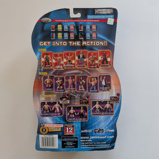 2000 WWF Jakks Pacific Titantron Live Series 10 Matt Hardy