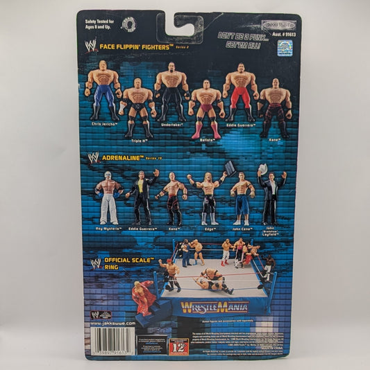 2005 WWE Jakks Pacific Ruthless Aggression Series 17.5 "Ring Rage" John Cena