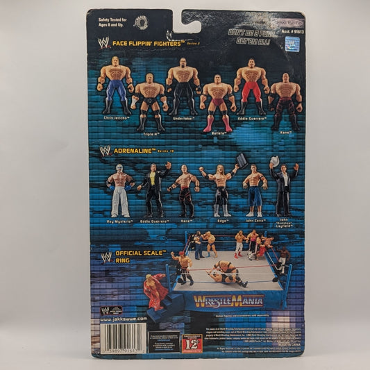 2005 WWE Jakks Pacific Ruthless Aggression Series 17.5 "Ring Rage" Undertaker