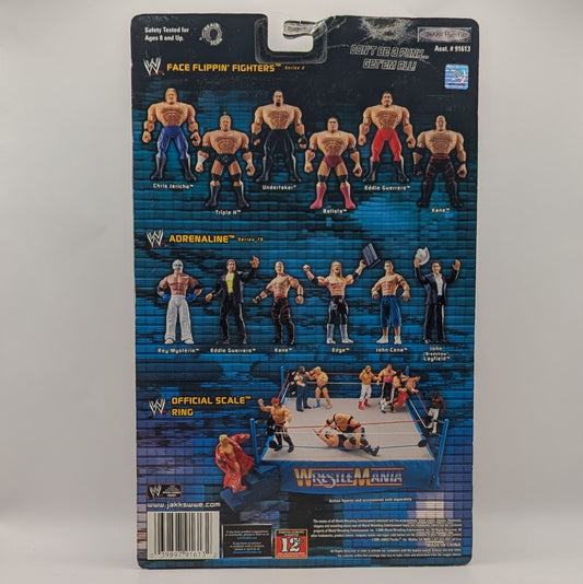 2005 WWE Jakks Pacific Ruthless Aggression Series 17.5 "Ring Rage" Rey Mysterio